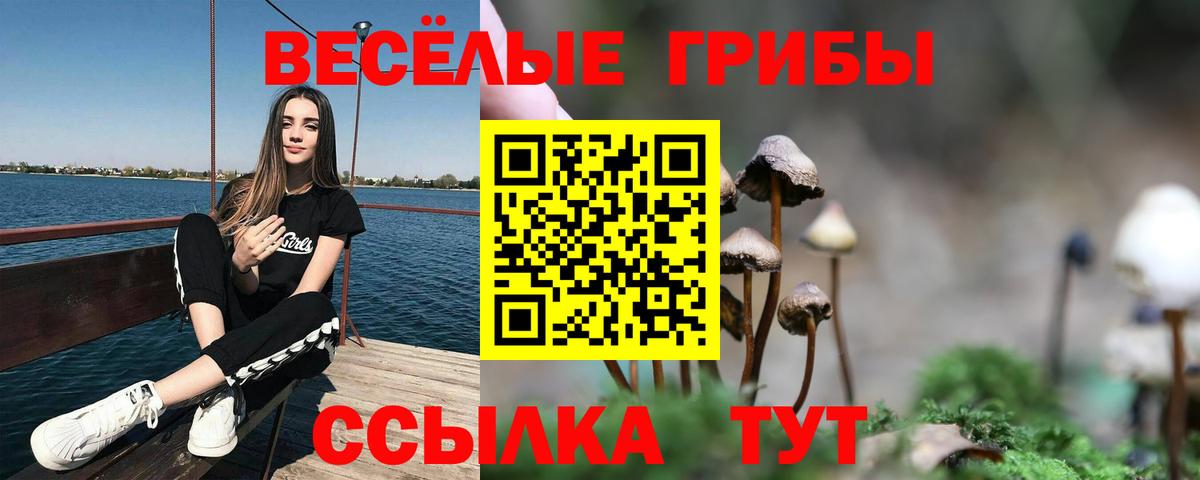 Псилоцибиновые грибы мухоморы  Вход с VPN  продажа наркотиков  Галлюциногенные грибы GOLDEN TEACHER  Сарапул 